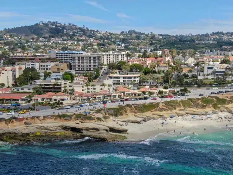 Aerial view of a coastal town with homes and palm trees