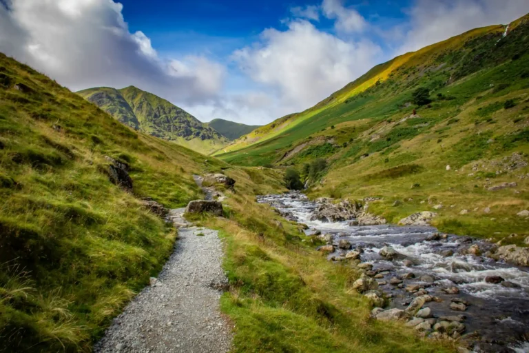 Green hills and a creek in the backcountry