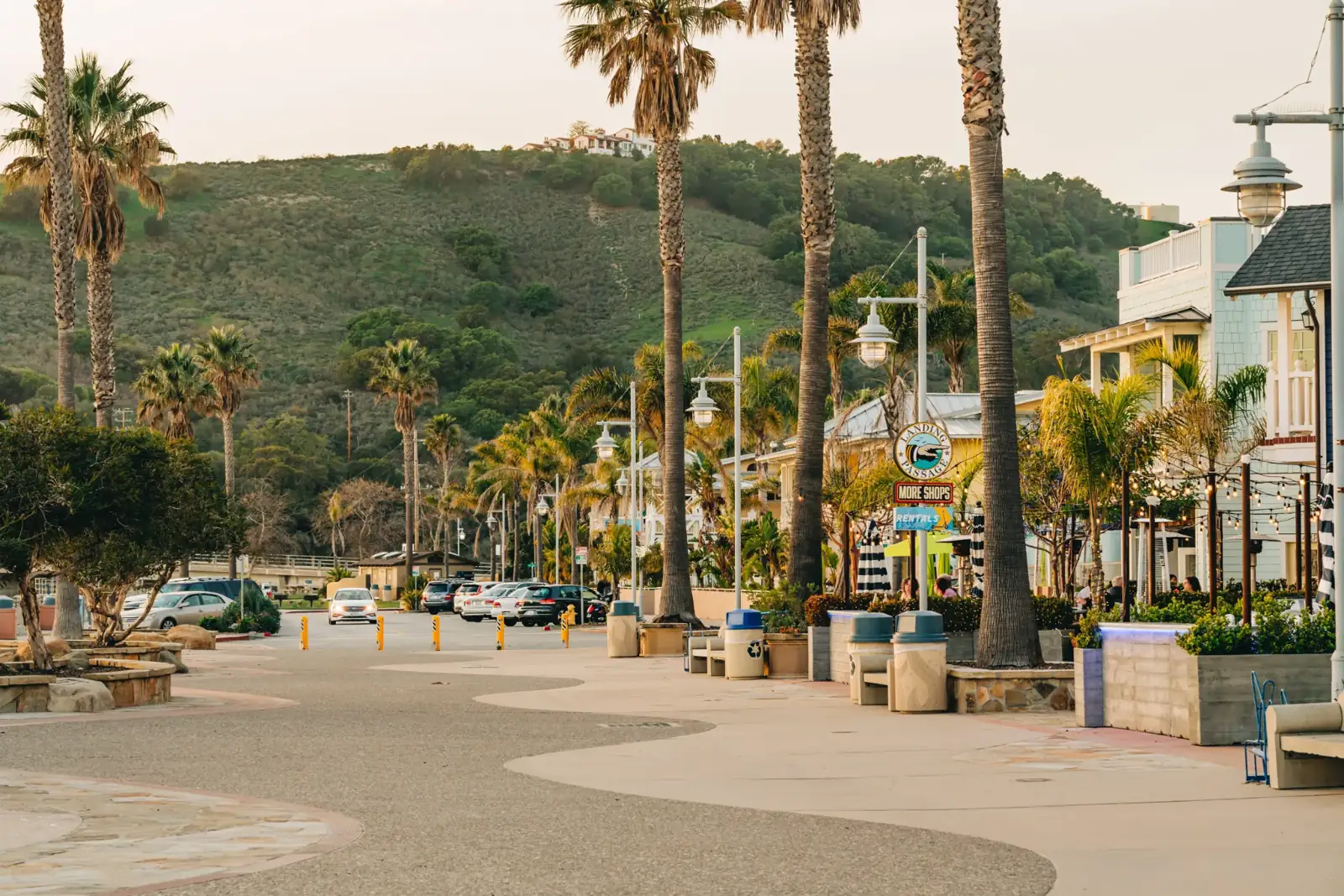 A palm-lined street with shops and restaurants