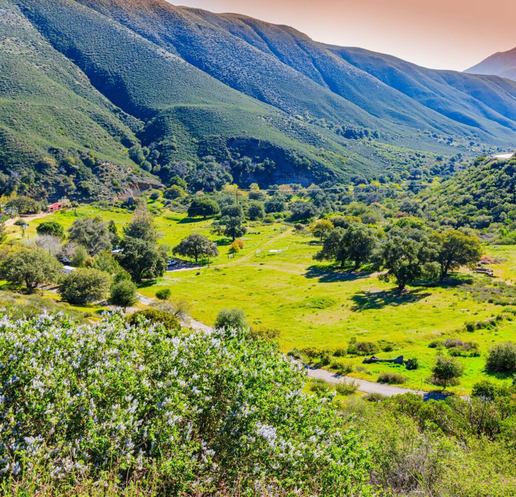 A green backcountry valley below mountain slopes