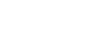 REALTOR Party